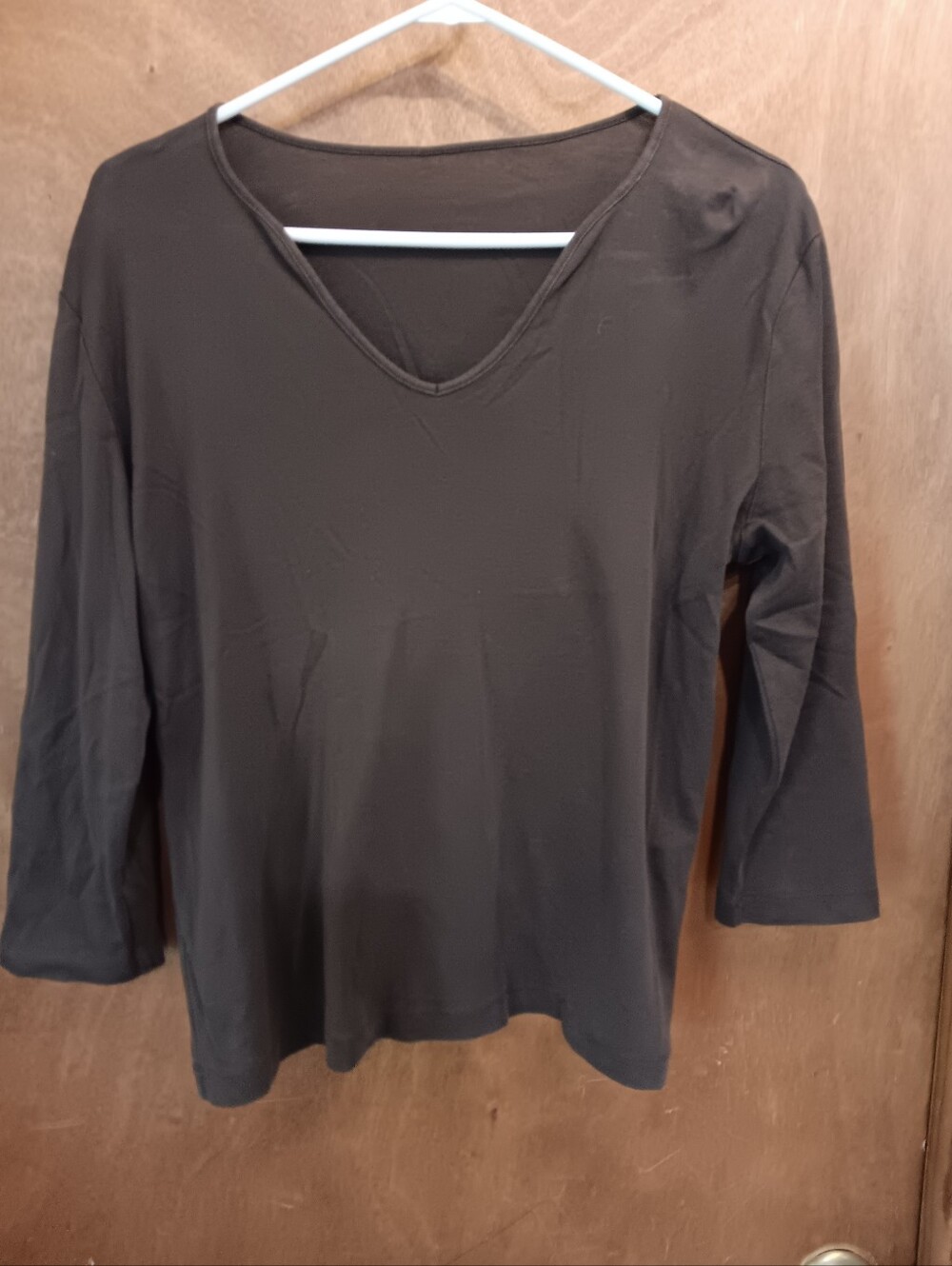 Browm Womans V Neck Tunic